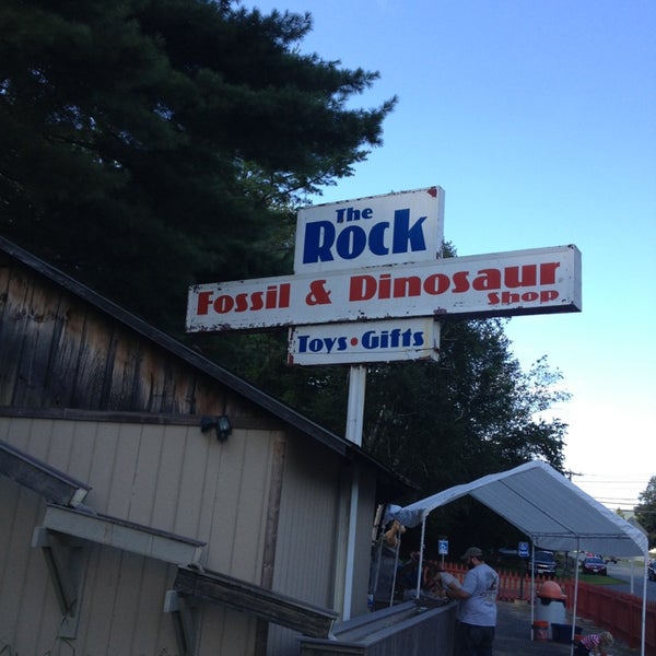The rock fossil and dinosaur shop hot sale