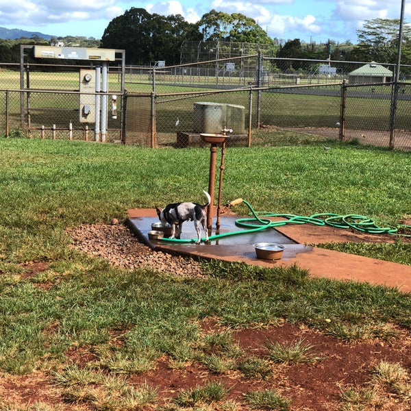 Mililani Dog Park Mililani Town, HI