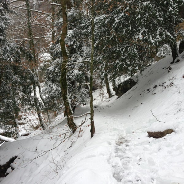 Photo taken at Gorges de l&#39;Areuse by Jorge F. on 1/20/2013