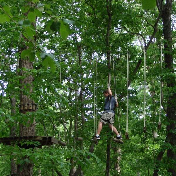 Treetop Quest 2020 Cleanwater Dr