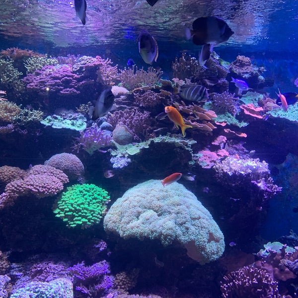 4/1/2022にmike p.がNew York Aquariumで撮った写真