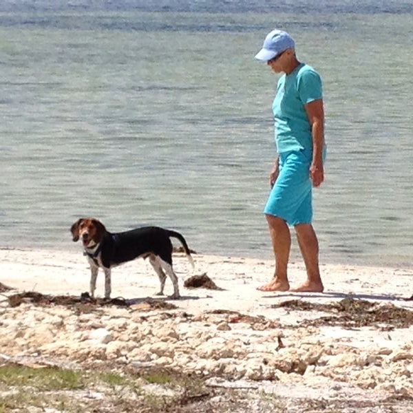 Picnic Island Beach