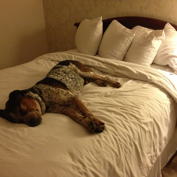 4/15/2013にBil B.がHollywood Hotel ®で撮った写真
