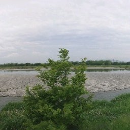 熊谷荒川緑地 Park In 熊谷市