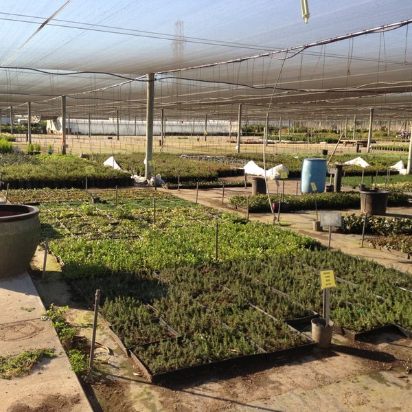 Photos At Sunshine Growers Nursery 57 Visitors Photo Taken At Sunshine Growers Nursery By Eric T On 1 31 2017