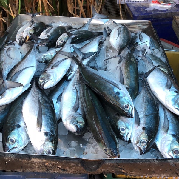 2x large mondays. 2x large mondays. 2x large mondays. Айова индиана. 2x large mondays.