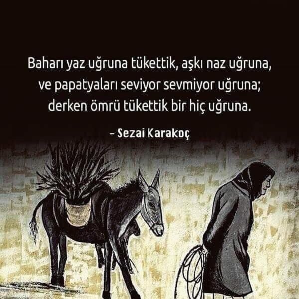 photos at seval gida