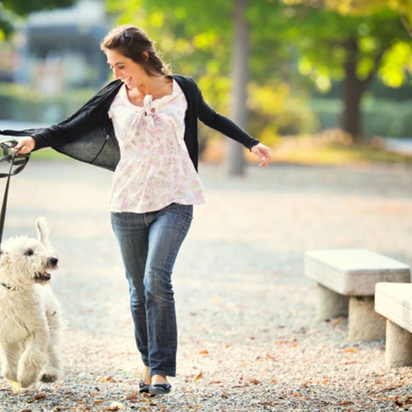 Running pet. Люди гуляют. Гулять с собакой. Прекрасный день для прогулки. Taking a Dog for a walk.