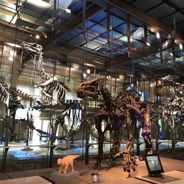 Photo taken at Museum of Natural Sciences by Kamila F. on 4/14/2019