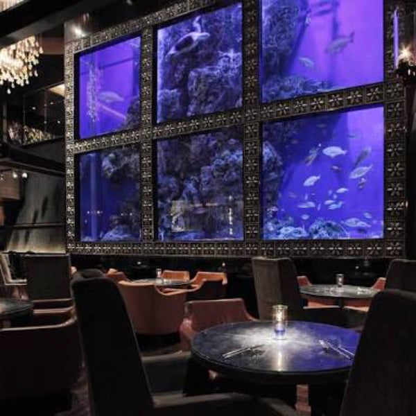 Photos At Luxis Aqua Restaurant Bar 4 Tips
