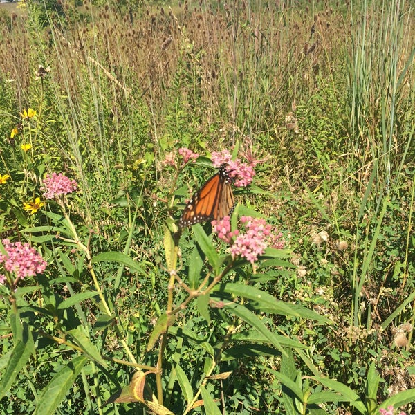 Hobart Urban Nature Preserve Troy, OH