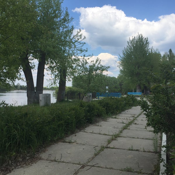 Поселок десна козелецкого района черниговской области. Река десна брянск. Река десна мост. Криволес река остер. Остер город украина.