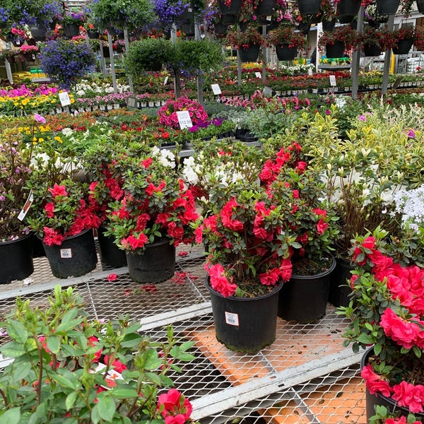 The Home Depot Allwood Clifton, NJ