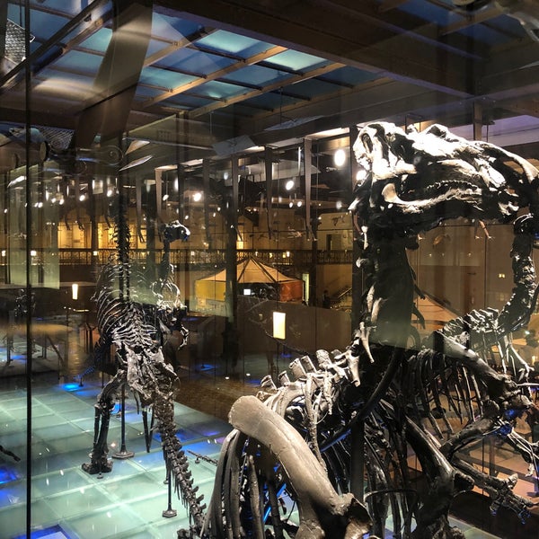 11/24/2019にYoriki Y.がMuseum voor Natuurwetenschappen / Muséum des Sciences naturellesで撮った写真