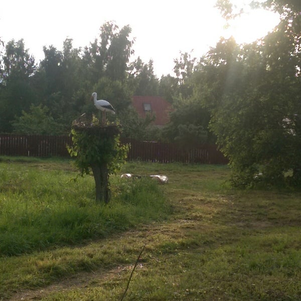 Корвет на купле карта