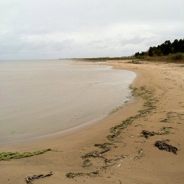 Ossineke State Forest Campground Campground in Ossineke