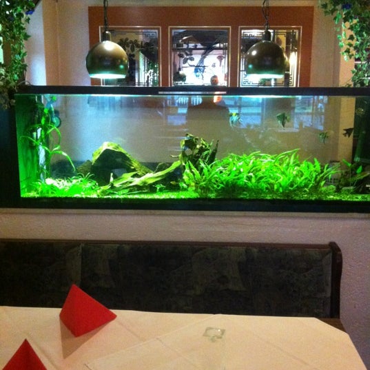 Bonsai Garten Now Closed Chinese Restaurant