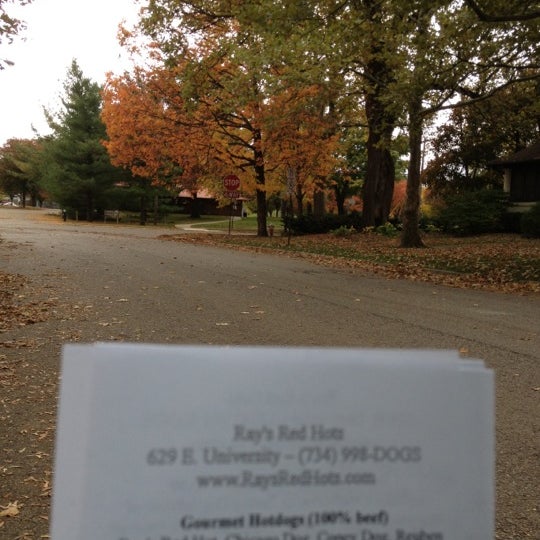 Burns Park Ann Arbor'da Park