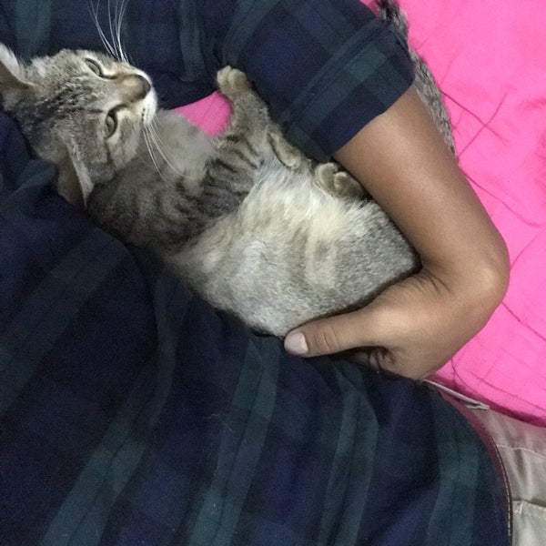 Photos At Jojo S Jalan Bunga Melati Kampung Maju Jaya