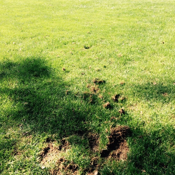 Photos At Golfclub Hof Hausen Vor Der Sonne Golf Course