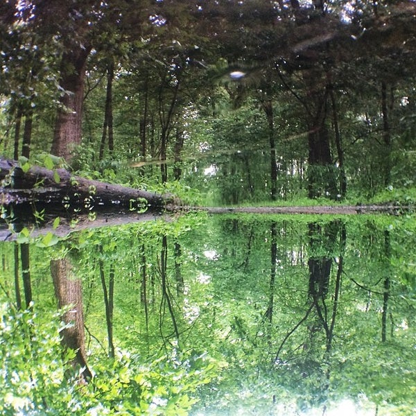 Cummingston Park Royal Oak, MI