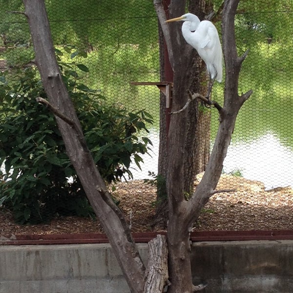 The Hutchinson Zoo Hutchinson, KS
