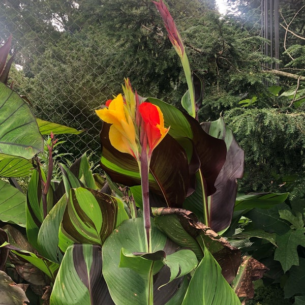 Photo taken at Morris Arboretum by Griff on 8/17/2019