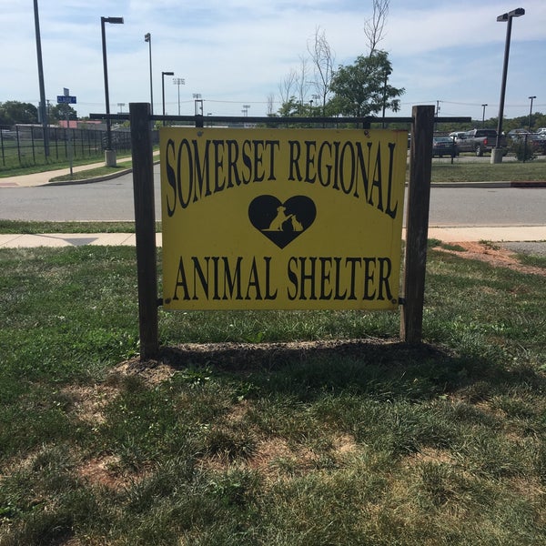 Somerset Regional Animal Shelter - Bridgewater Township, NJ