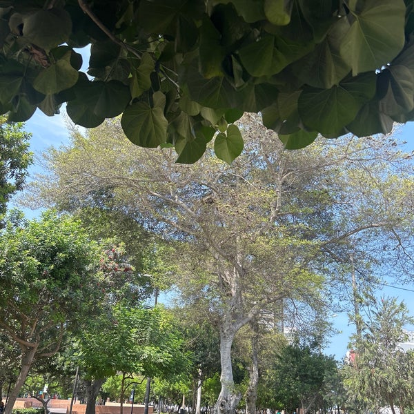 Photo taken at Parque Kennedy by Andrés A. on 3/15/2024
