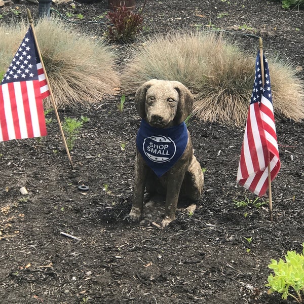 The Cape Cod Dog 3 Main St Unit 1