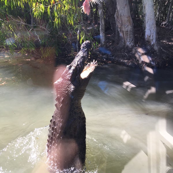 Photo taken at Hartley&#39;s Crocodile Adventures by 美 貴. on 8/5/2018