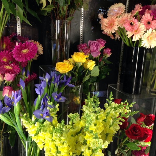 Queens Garden Nursery Whitestone 0 tips