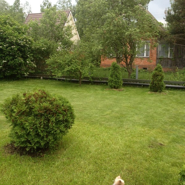 снт сосновка