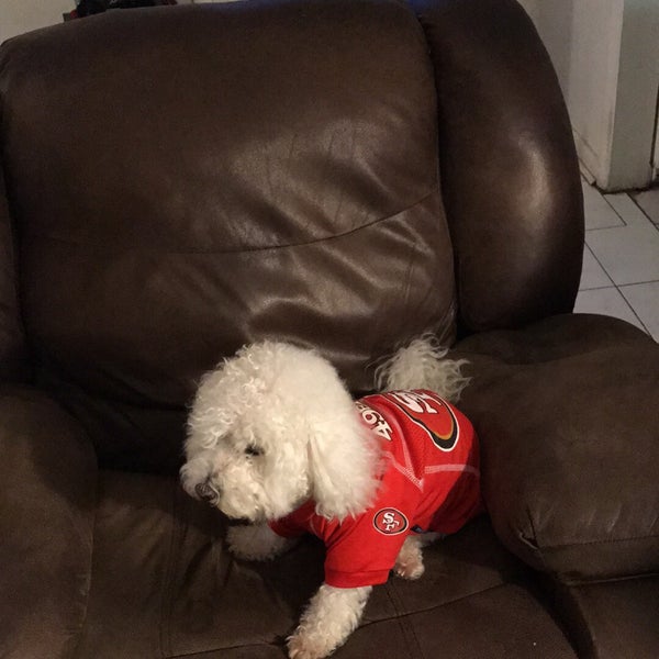 Petco Pet Supplies Store