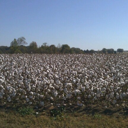 Cotton Gin Festival, Bostwick, GA, cotton gin festival, Развлечения.