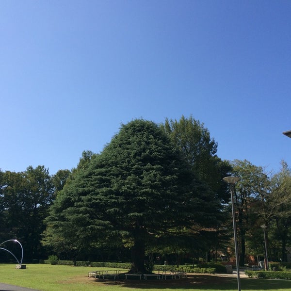 白百合女子大学 ステラ マリス 世田谷区 Visitors 白百合女子大学 ステラ マリス 世田谷区 Visitors