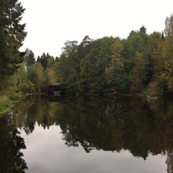 Улиткино территория