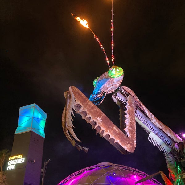Nevada Reno Mantis Praying Mantis - Downtown Las Vegas - Las Vegas, NV