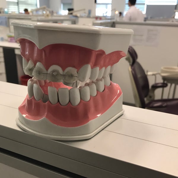 photos at marmara universitesi tip fakultesi kutuphanesi maltepe basibuyuk basibuyuk 1 tip