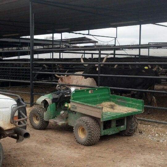 Milam County Livestock Auction 1 tip from 4 visitors