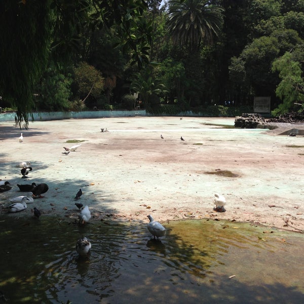 Photo taken at Parque México by Jorge C. on 5/19/2013