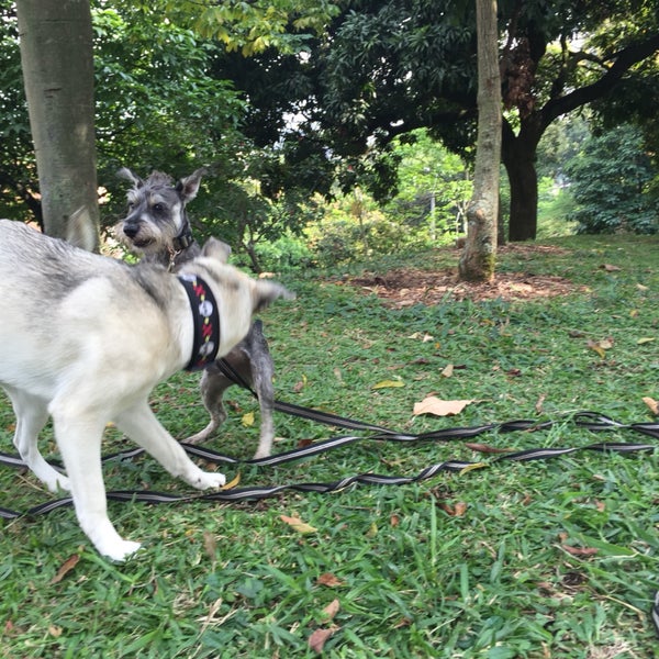parque-de-la-bailarina-isabel-cristina-restrepo-c-rdenas-park-in-medell-n