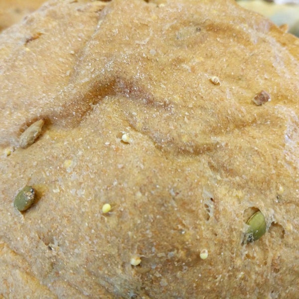 Great Harvest Bread Bakery in Salem