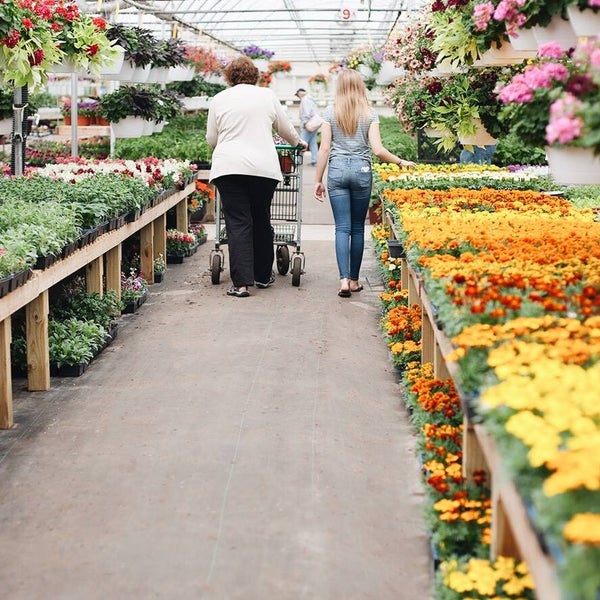 Hoens Garden Center Fasci Garden