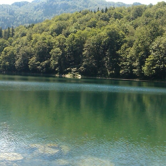 My Image 3