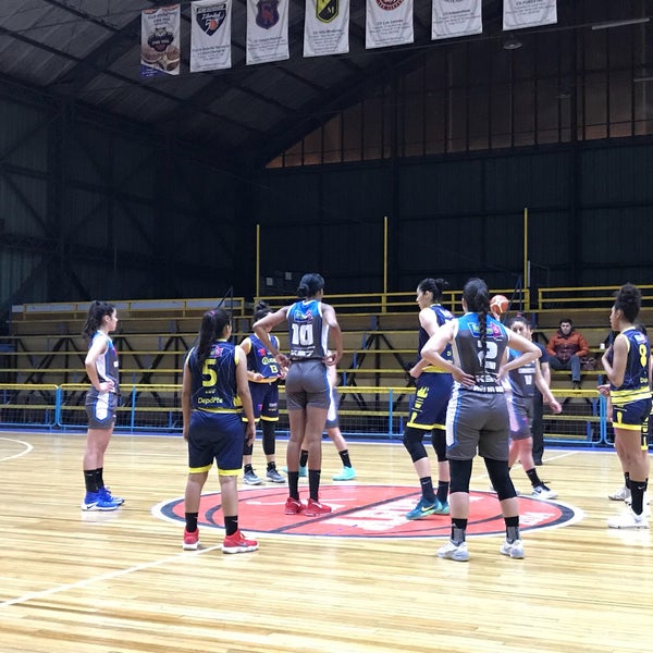 Gimnasio Arlegui Viña del Mar, Valparaíso