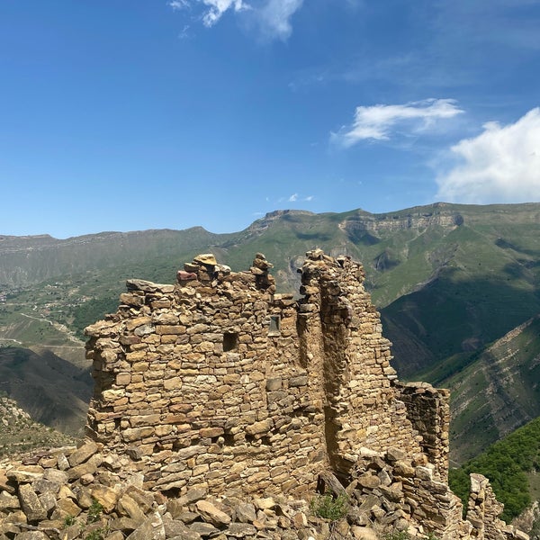 Чай Гамсутль