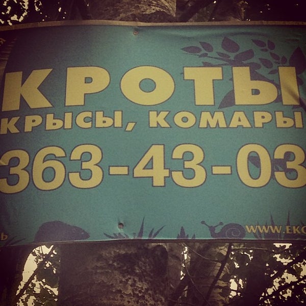 Инвестиционное шоу раунд судьи. Пл 2). Платформа 26 конкурсов. Платформа 26 конкурсов. Платформа 26 конкурсов.