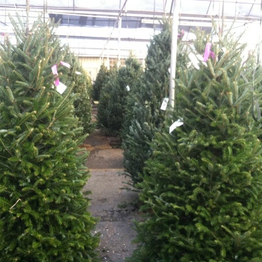 Photo taken at Pike Nurseries by Lillian B. on 12/9/2012