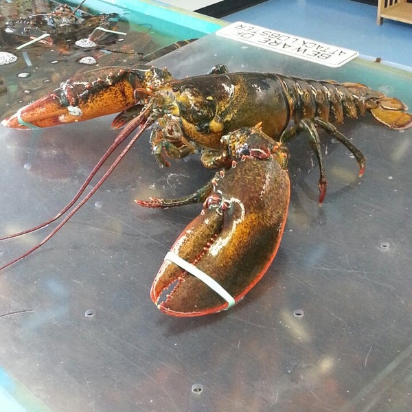 Photo taken at Cape Tip Seafood &amp; Lobster Market by Andy B. on 6/8/2014